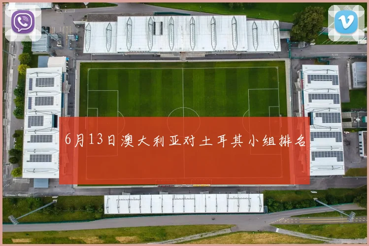 6月13日澳大利亚对土耳其小组排名
