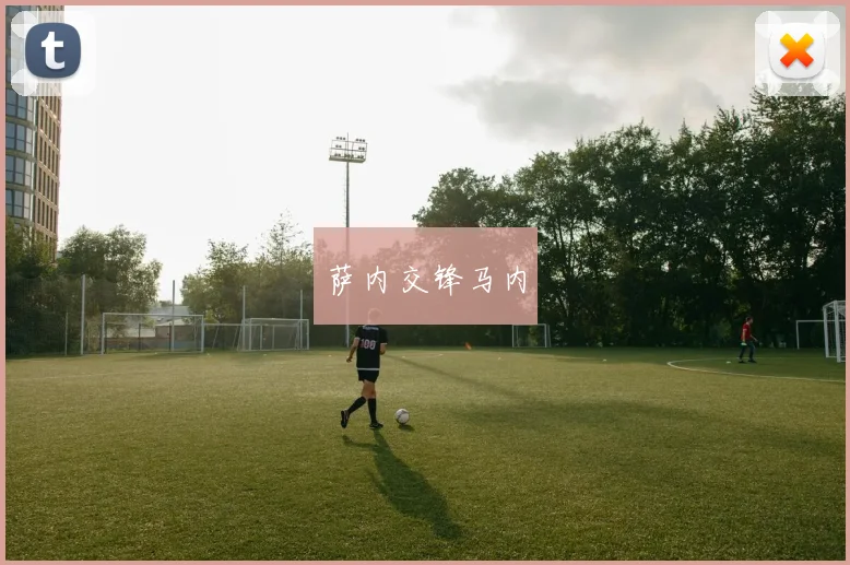 萨内交锋马内