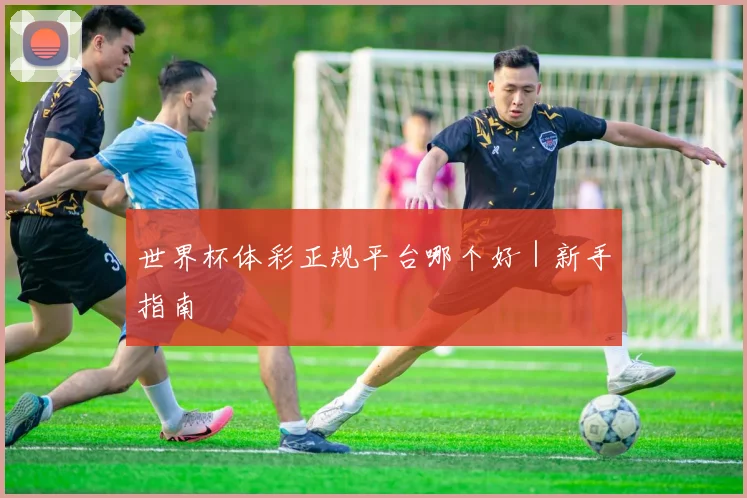 世界杯体彩正规平台哪个好｜新手指南