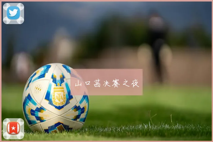 山口茜决赛之夜