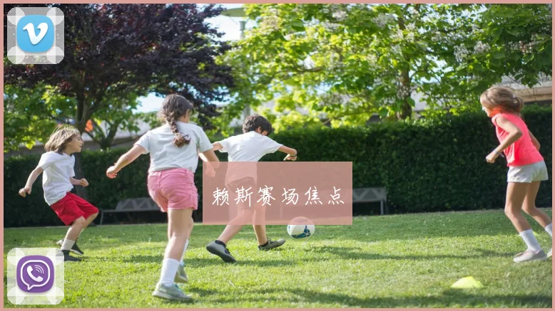 赖斯赛场焦点