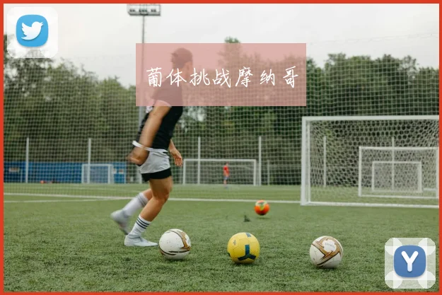 葡体挑战摩纳哥