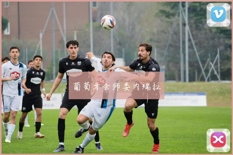 葡萄牙会师委内瑞拉