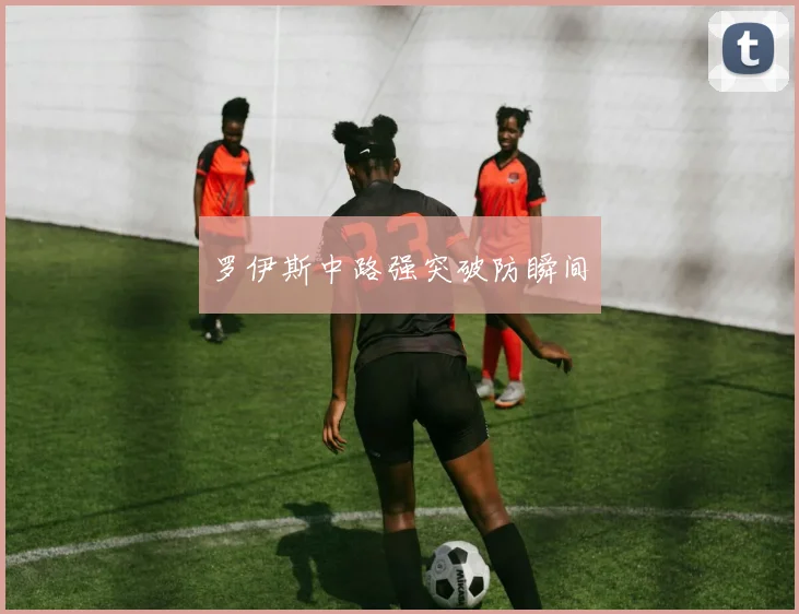 罗伊斯中路强突破防瞬间