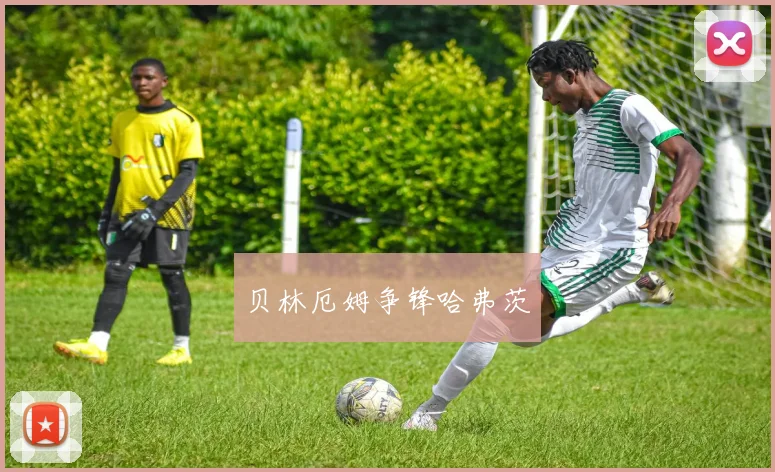 贝林厄姆争锋哈弗茨