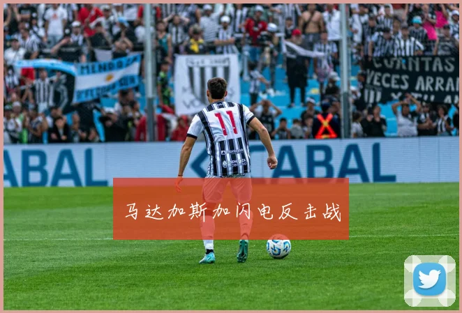 马达加斯加闪电反击战