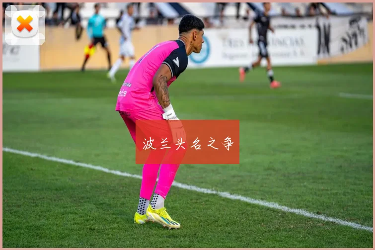 波兰头名之争