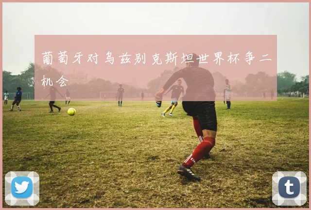 葡萄牙对乌兹别克斯坦世界杯争二机会