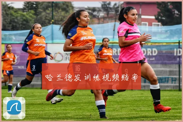 哈兰德发训练视频赔率
