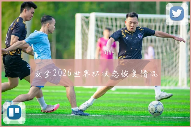 麦金2026世界杯状态恢复情况