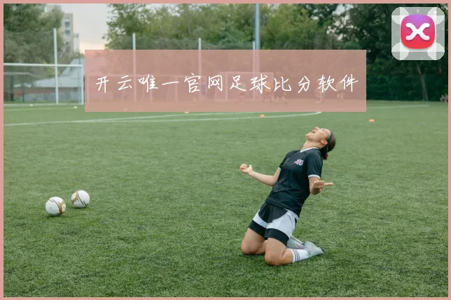 开云唯一官网足球比分软件