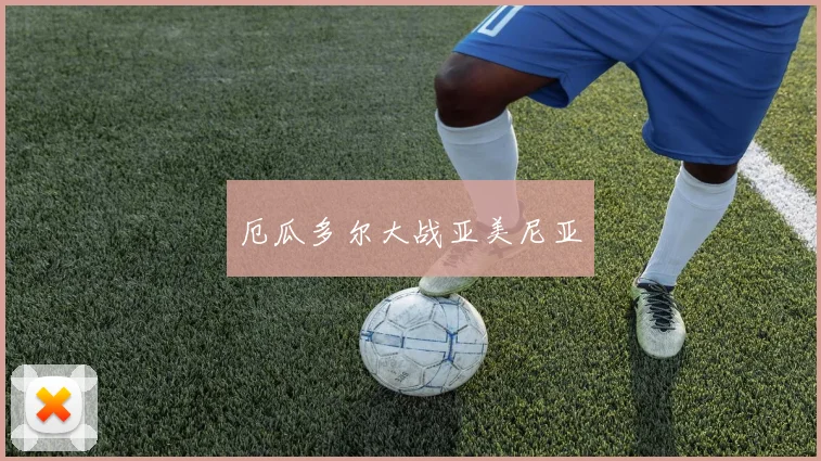 厄瓜多尔大战亚美尼亚