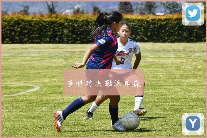 多特对决勒沃库森