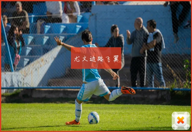 尤文边路飞翼