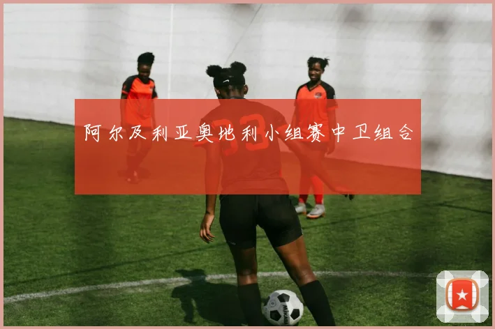 阿尔及利亚奥地利小组赛中卫组合