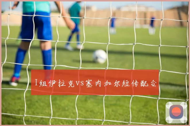 I组伊拉克vs塞内加尔短传配合