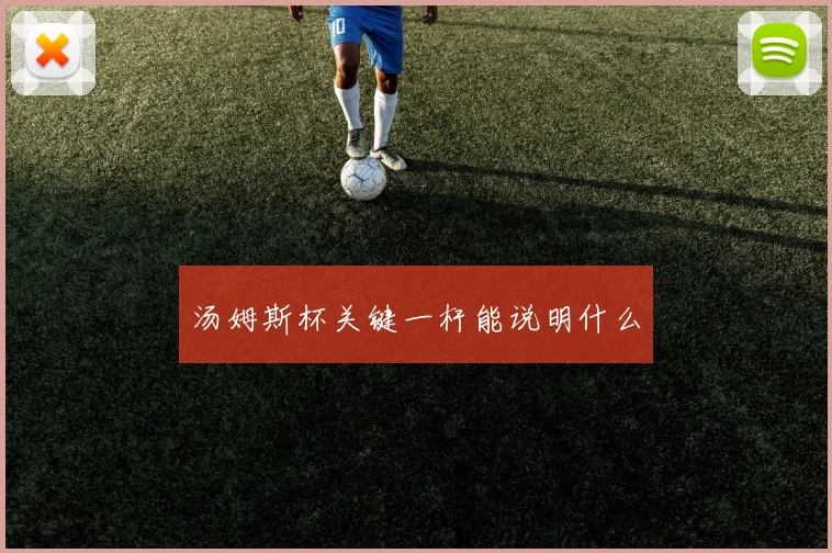 汤姆斯杯关键一杆能说明什么