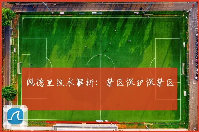 佩德里技术解析：禁区保护保禁区