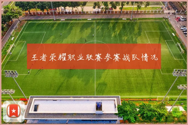 王者荣耀职业联赛参赛战队情况