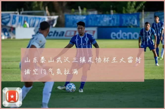 山东泰山武汉三镇足协杯王大雷封堵空门气氛拉满