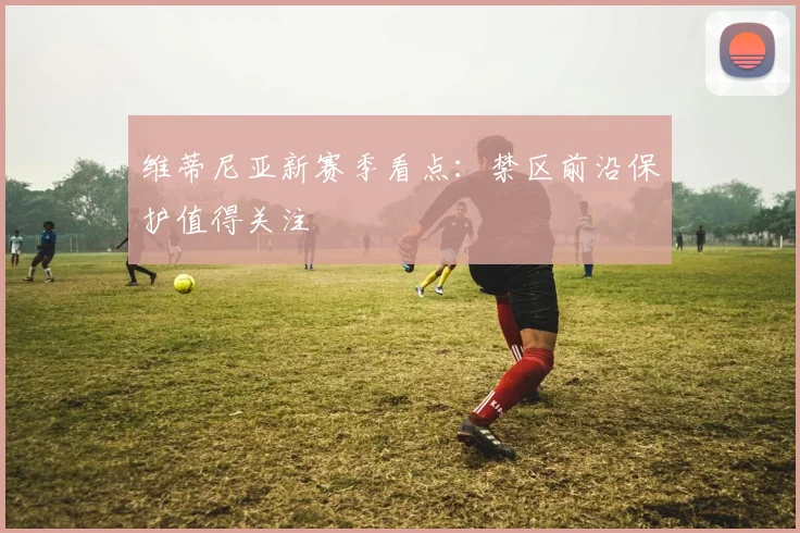 维蒂尼亚新赛季看点：禁区前沿保护值得关注
